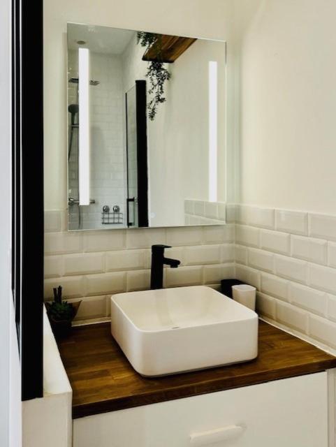 Charmant Et Lumineux Appartement Montpellier Dış mekan fotoğraf